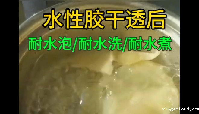 水性快干胶水_青岛水性快干胶水